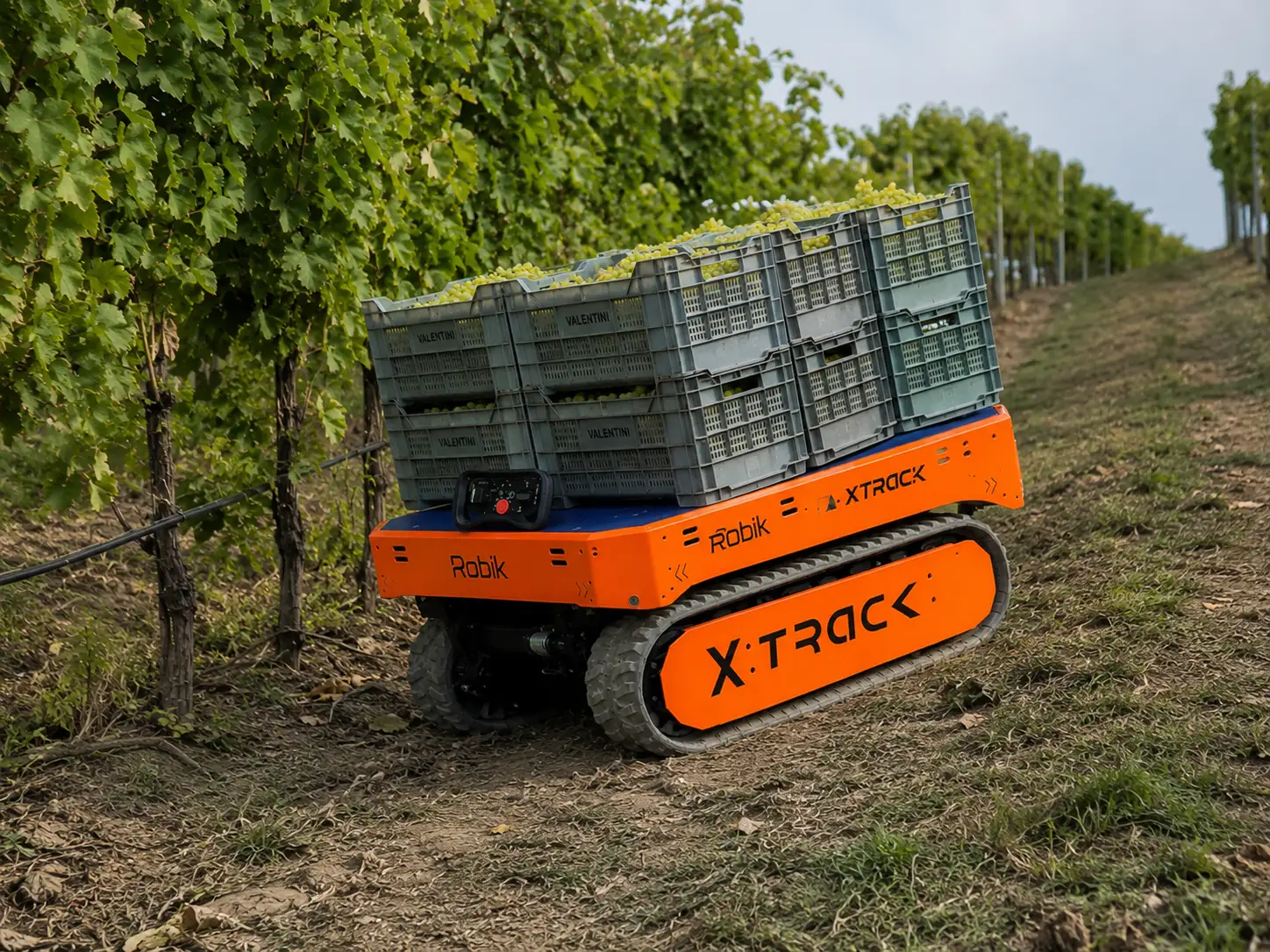 XTRACK AGRICOLTURE SECTOR